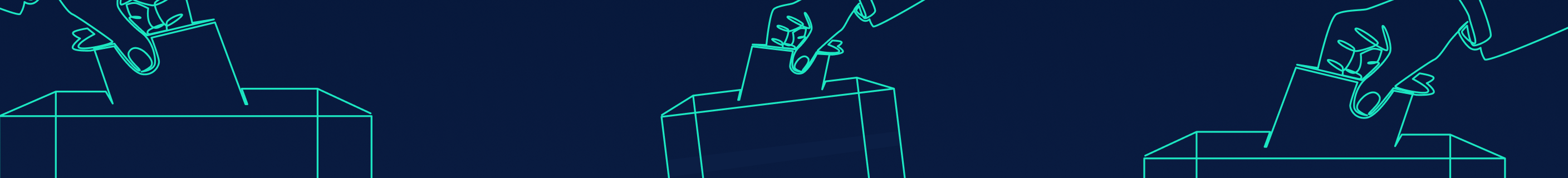 Election Fraud? Double Voting in Celer’s State Guardian Network