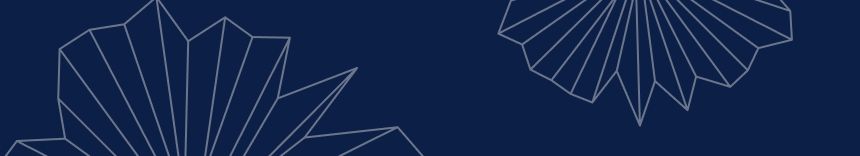 New Markets, Efficient Markets